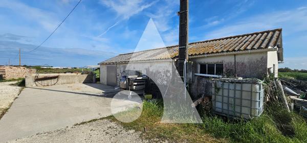 Propriété de loisirs 1 pièce 50 m2