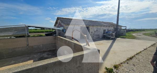 Propriété de loisirs 1 pièce 50 m2