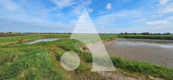 Propriété de loisirs 1 pièce 50 m2