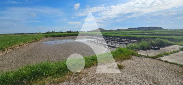 Propriété de loisirs 1 pièce 50 m2