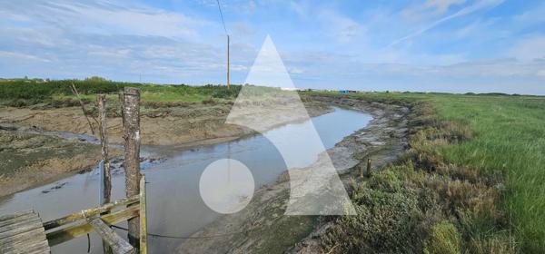 Propriété de loisirs 1 pièce 50 m2