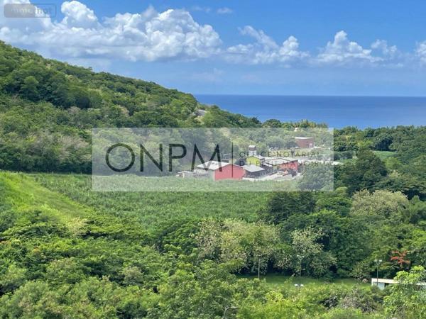 Appartement à vendre à Le Carbet en Martinique (97221), ref : 97207-689