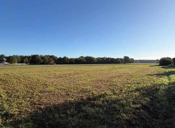 Terrain à MOLAC, 56230 - 720m²