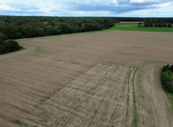 Terrain à MOLAC, 56230 - 720m²