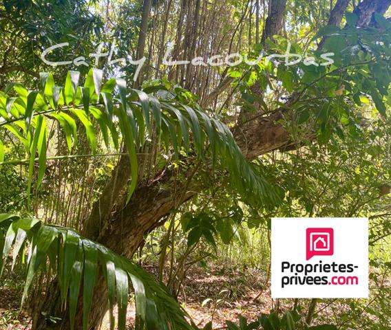 Terrain 4000 m2 accès littoral -Pointe Noire, Guadeloupe