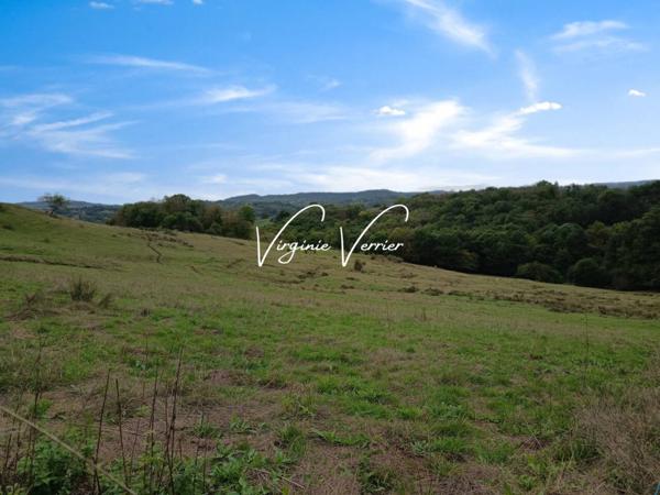 Terrain à vendre de 2 010 m²