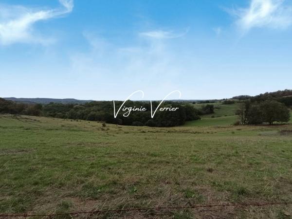 Terrain à vendre de 2 010 m²