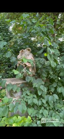 Maison Bourgeoise , garage, jardin arboré
