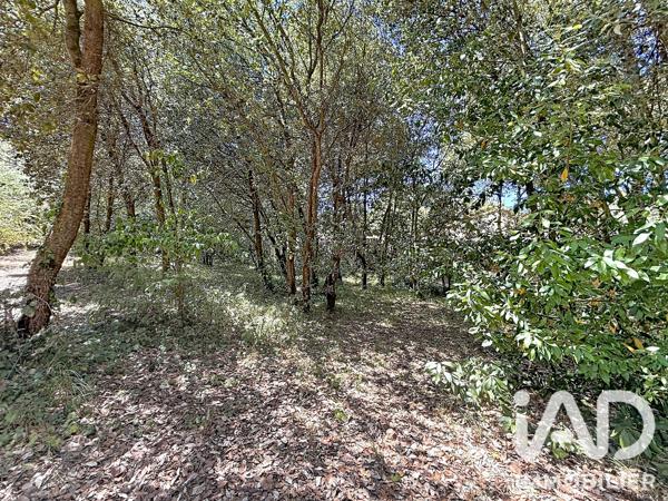Maison à vendre 4 pièces 95 m² La Couarde-sur-Mer