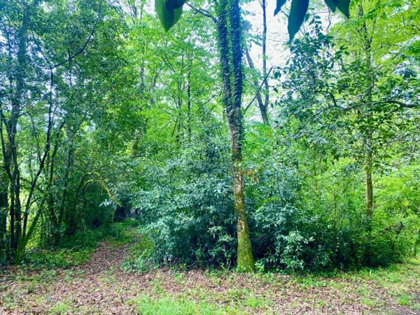 Terrain de loisir St Caprais de Bordeaux