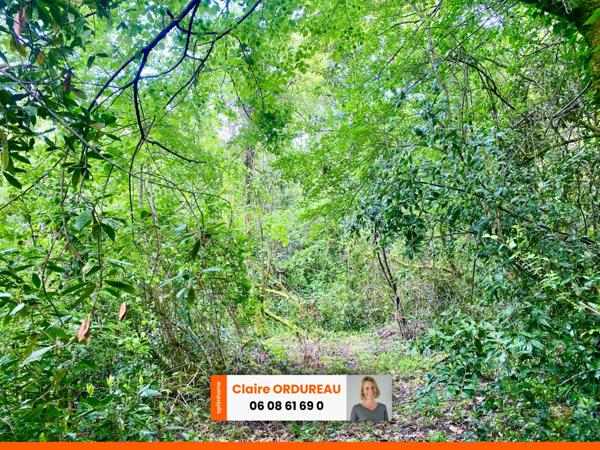 Terrain de loisir St Caprais de Bordeaux