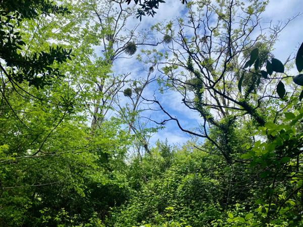 Terrain de loisir St Caprais de Bordeaux