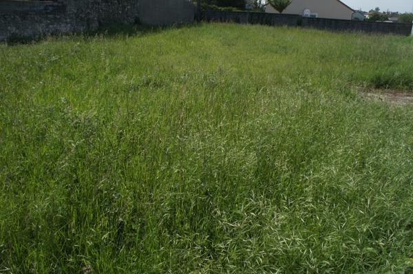 TERRAIN CONSTRUCTIBLE 897 M² CLOS DE MUR A VIABILISER