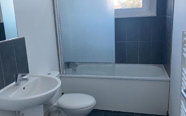 Appartement à louer    1 pièce •  Faches-Thumesnil