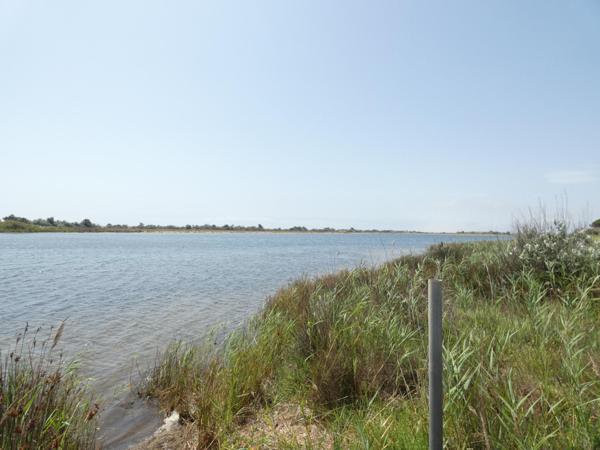 Pavillon individuel entièrement rénové avec jardin et place de parking