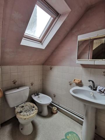 EXCLUSIVITE, Maison en centre ville de LA FLECHE avec jardin, garage et chambre en rez de chaussée