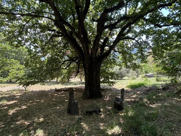 Immobilier Champtercier (04660) – Maison 140m2 – 680 000 €