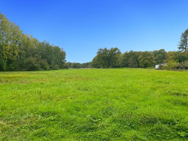 Ervauville (45320) ERVAUVILLE