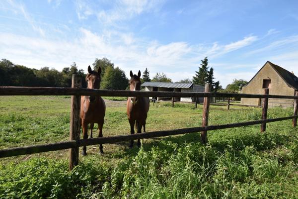 FERME SUR 30 ha AVEC LONGERE ET DEPENDANCE
