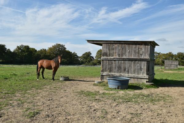 FERME SUR 30 ha AVEC LONGERE ET DEPENDANCE