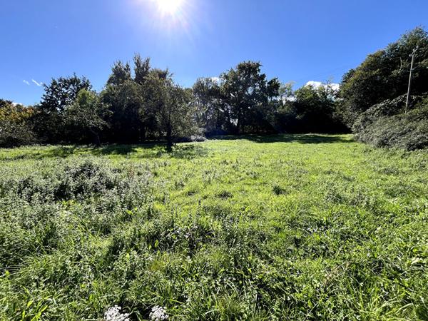 SAINT AMADOU : TERRAIN CONSTRUCTIBLE DE 2027 M2 ARBORE A LA CAMPAGNE