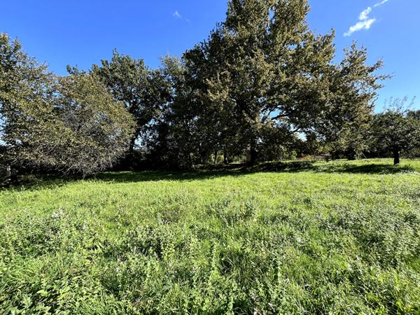 SAINT AMADOU : TERRAIN CONSTRUCTIBLE DE 2027 M2 ARBORE A LA CAMPAGNE