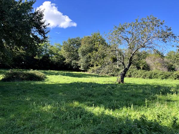 SAINT AMADOU : TERRAIN CONSTRUCTIBLE DE 2027 M2 ARBORE A LA CAMPAGNE