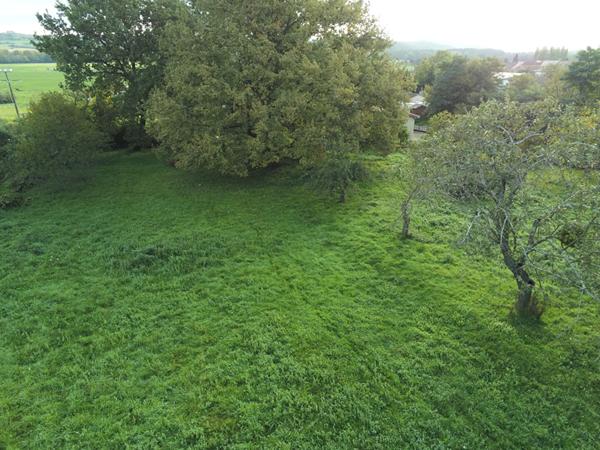 SAINT AMADOU : TERRAIN CONSTRUCTIBLE DE 2027 M2 ARBORE A LA CAMPAGNE