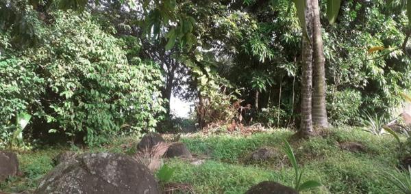 Très beau terrain plat dans un environnement très calme et vert