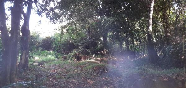 Très beau terrain plat dans un environnement très calme et vert