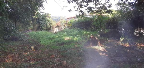 Très beau terrain plat dans un environnement très calme et vert