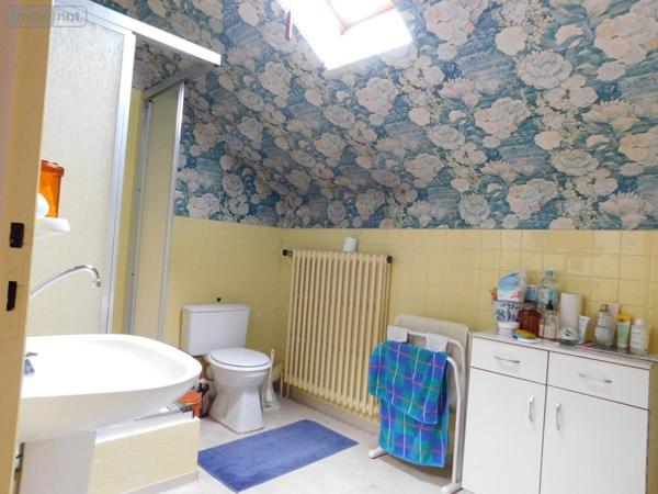 Maison à vendre à Pont-d'Ain dans l'Ain (01160), ref : 01016-503