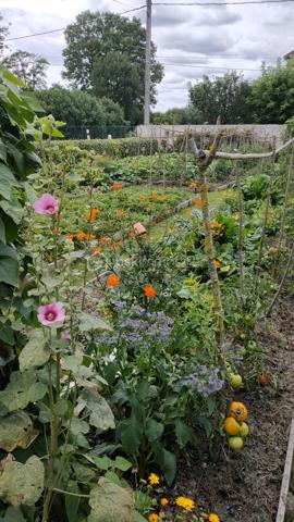 Maison ancienne de 150 m²