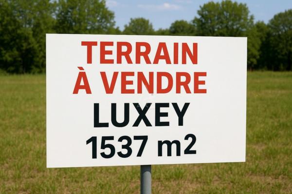 À vendre  Terrain viabilisé de 1 609 m² à Luxey (40)