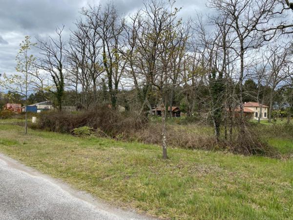 À vendre  Terrain viabilisé de 1 609 m² à Luxey (40)