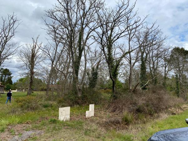 À vendre  Terrain viabilisé de 1 609 m² à Luxey (40)