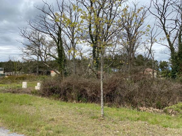 À vendre  Terrain viabilisé de 1 609 m² à Luxey (40)