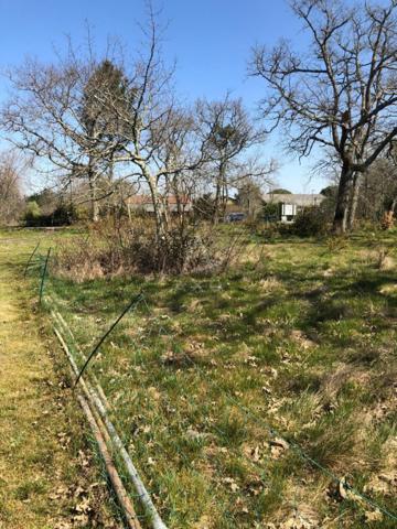 À vendre  Terrain viabilisé de 1 609 m² à Luxey (40)