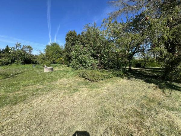 Terrain à vendre |  Lamotte-Beuvron |  1304 m²