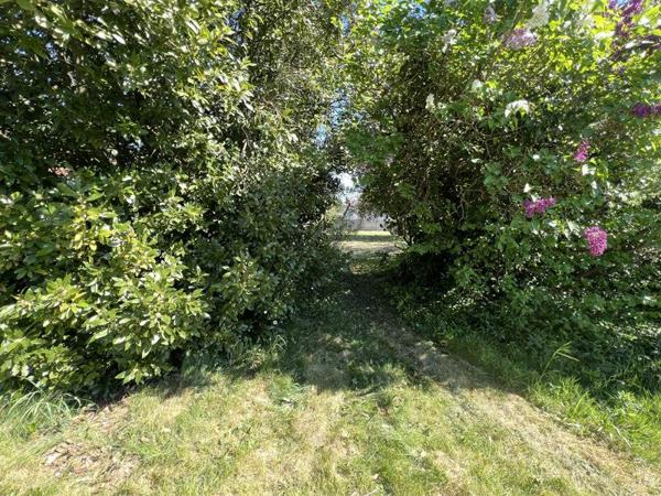 Terrain à vendre |  Lamotte-Beuvron |  1304 m²