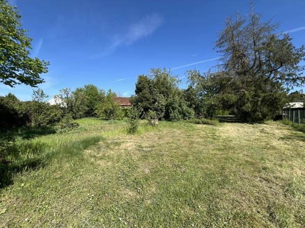 Terrain à vendre |  Lamotte-Beuvron |  1304 m²