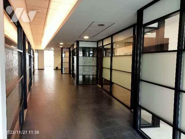 Immeuble de Rapport à usage commercial et habitation à vendre à 15 Km de Lille Ouest (Armentières).