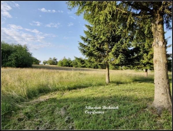 Maison à vendre 6 pièces SARRALBE (57) 149m²