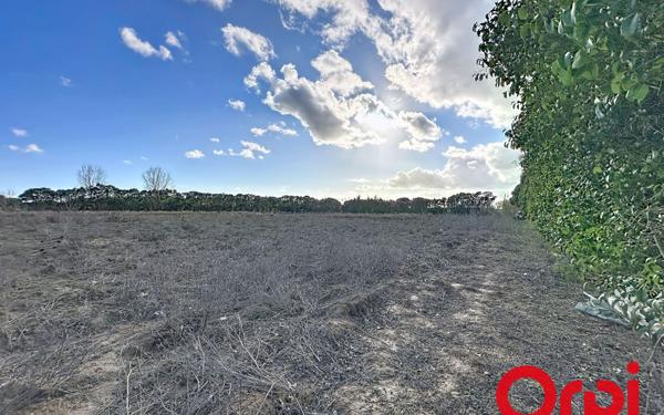 Terrain à vendre    Lunel