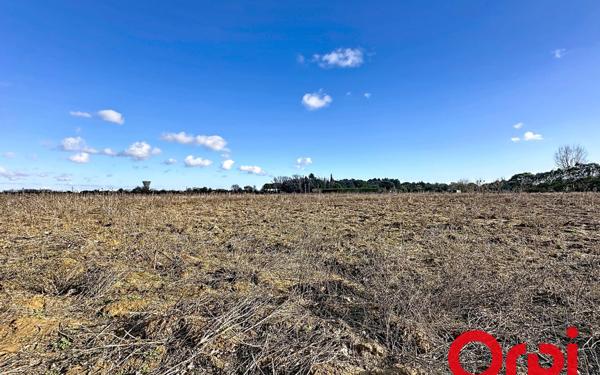 Terrain à vendre    Lunel