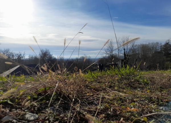 Terrain à vendre    Serres-Castet