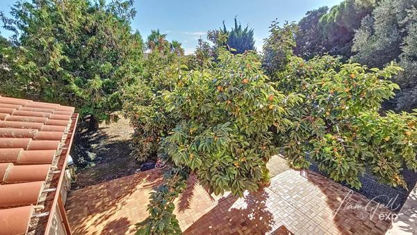 Opportunité unique : Mas Catalan authentique avec fort potentiel à Elne (66200)