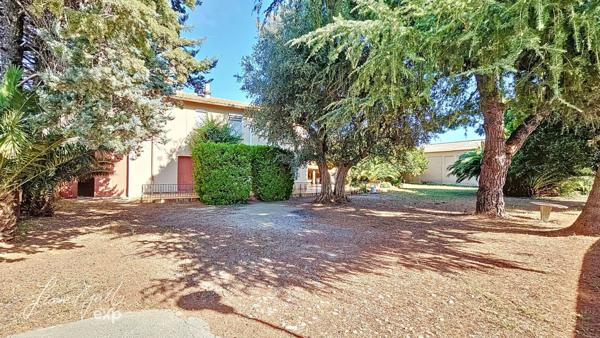 Opportunité unique : Mas Catalan authentique avec fort potentiel à Elne (66200)