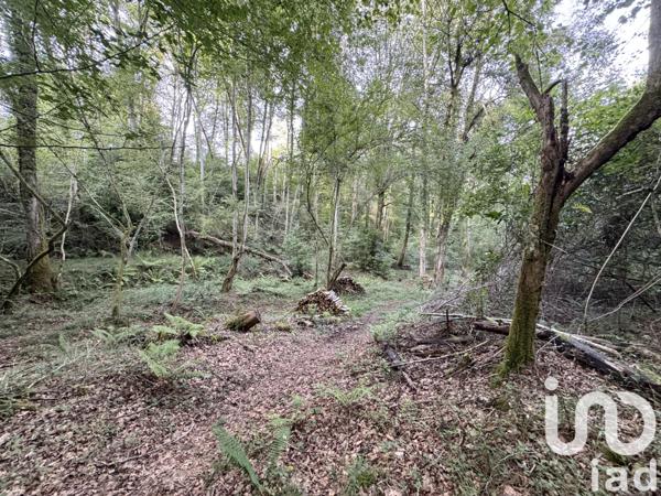 Maison à vendre 7 pièces 146 m² Rontignon