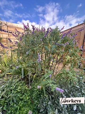 Maison de ville - 2 pièces - proche du centre ville de Sainte Maxime